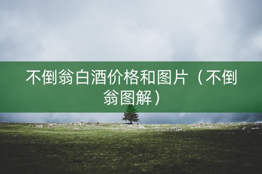 不倒翁白酒价格和图片（不倒翁图解）