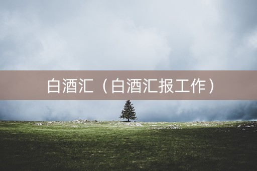 白酒汇（白酒汇报工作）