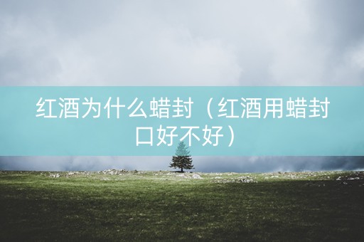 红酒为什么蜡封（红酒用蜡封口好不好）
