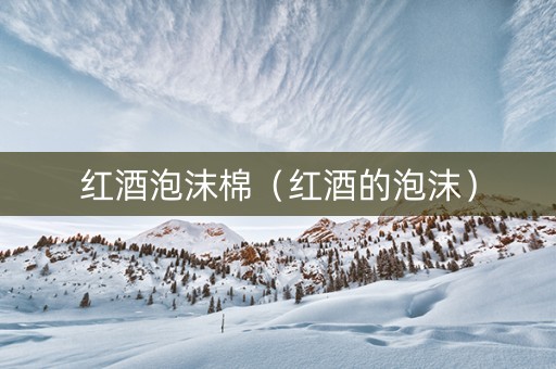 红酒泡沫棉（红酒的泡沫）