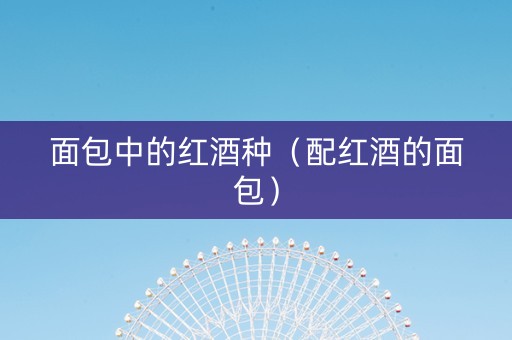 面包中的红酒种（配红酒的面包）