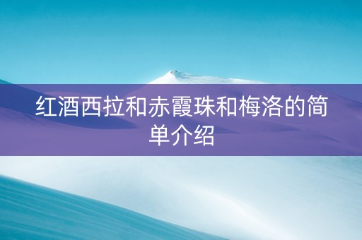 红酒西拉和赤霞珠和梅洛的简单介绍