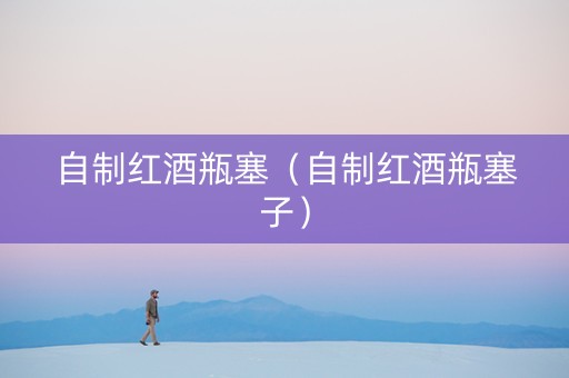 自制红酒瓶塞（自制红酒瓶塞子）