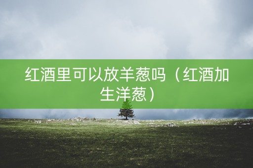 红酒里可以放羊葱吗（红酒加生洋葱）