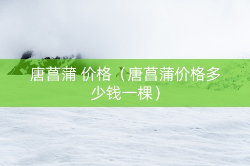 唐菖蒲 价格（唐菖蒲价格多少钱一棵）