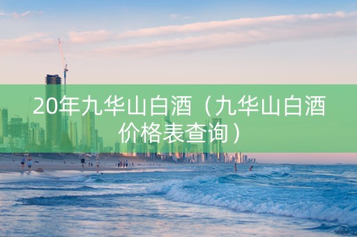20年九华山白酒（九华山白酒价格表查询）