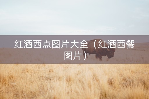红酒西点图片大全（红酒西餐图片）