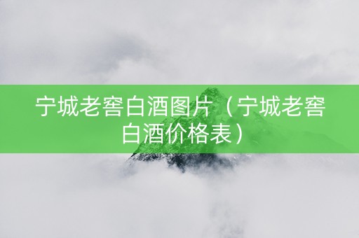 宁城老窖白酒图片（宁城老窖白酒价格表）