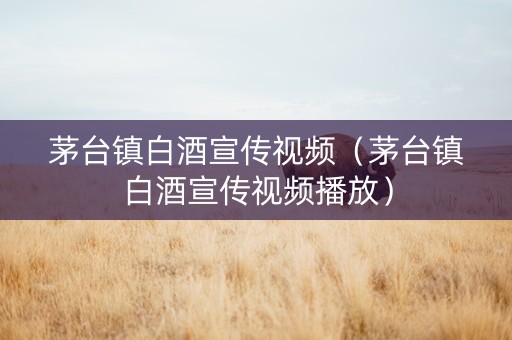 茅台镇白酒宣传视频（茅台镇白酒宣传视频播放）