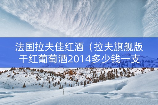 法国拉夫佳红酒（拉夫旗舰版干红葡萄酒2014多少钱一支）