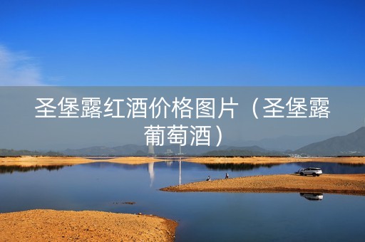 圣堡露红酒价格图片（圣堡露葡萄酒）