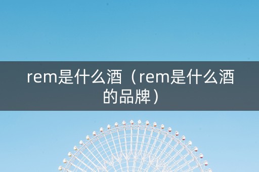 rem是什么酒（rem是什么酒的品牌）
