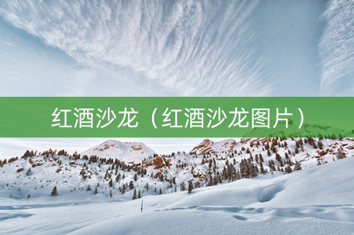 红酒沙龙（红酒沙龙图片）