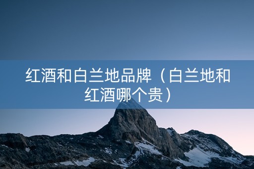 红酒和白兰地品牌（白兰地和红酒哪个贵）