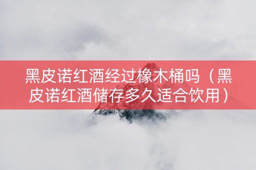 黑皮诺红酒经过橡木桶吗（黑皮诺红酒储存多久适合饮用）