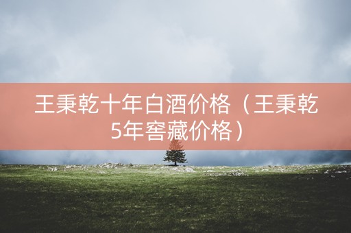 王秉乾十年白酒价格（王秉乾5年窖藏价格）