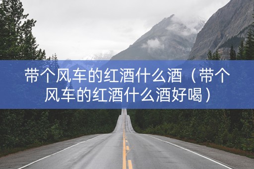 带个风车的红酒什么酒（带个风车的红酒什么酒好喝）