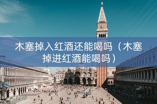 木塞掉入红酒还能喝吗（木塞掉进红酒能喝吗）