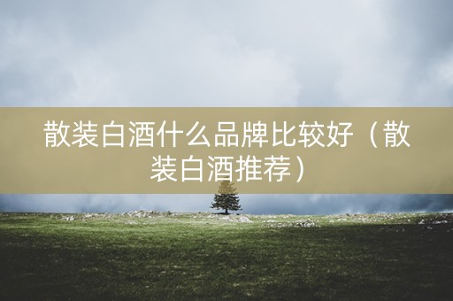 散装白酒什么品牌比较好（散装白酒推荐）