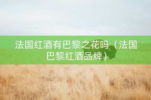 法国红酒有巴黎之花吗（法国巴黎红酒品牌）
