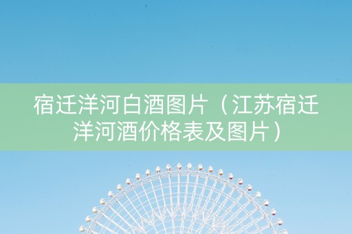 宿迁洋河白酒图片（江苏宿迁洋河酒价格表及图片）