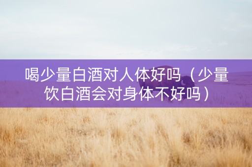 喝少量白酒对人体好吗（少量饮白酒会对身体不好吗）