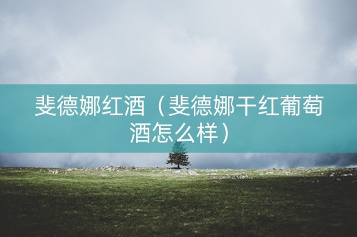 斐德娜红酒（斐德娜干红葡萄酒怎么样）