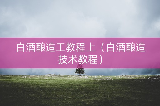 白酒酿造工教程上（白酒酿造技术教程）