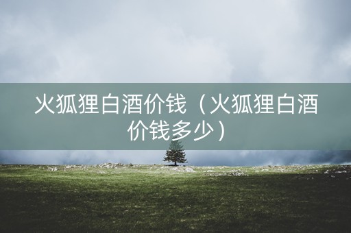 火狐狸白酒价钱（火狐狸白酒价钱多少）