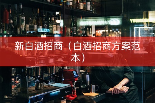 新白酒招商（白酒招商方案范本）
