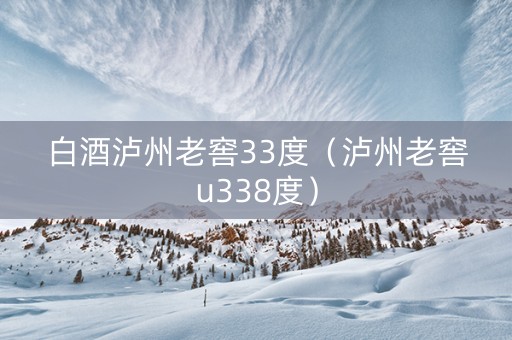 白酒泸州老窖33度（泸州老窖u338度）