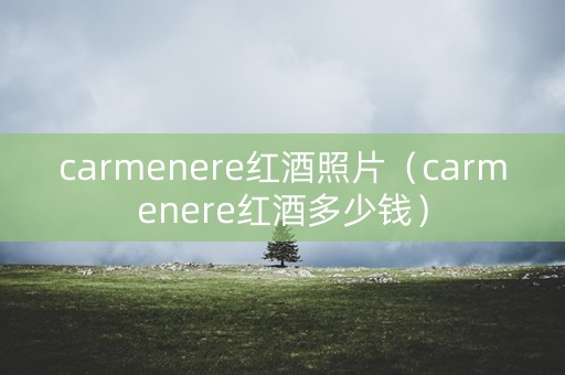 carmenere红酒照片（carmenere红酒多少钱）