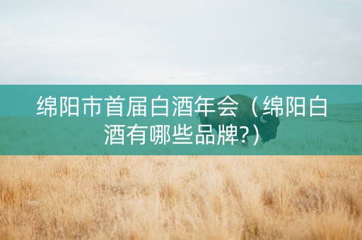 绵阳市首届白酒年会（绵阳白酒有哪些品牌?）