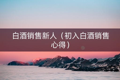 白酒销售新人（初入白酒销售心得）