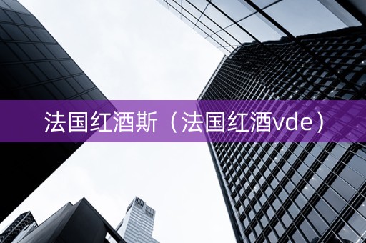 法国红酒斯（法国红酒vde）