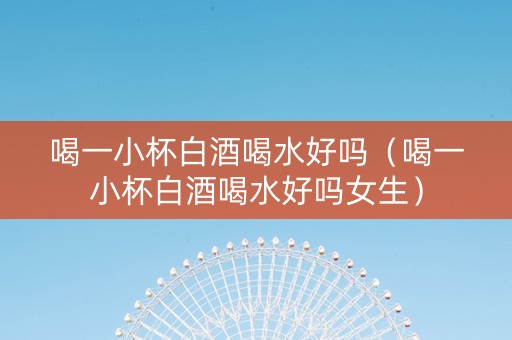喝一小杯白酒喝水好吗（喝一小杯白酒喝水好吗女生）