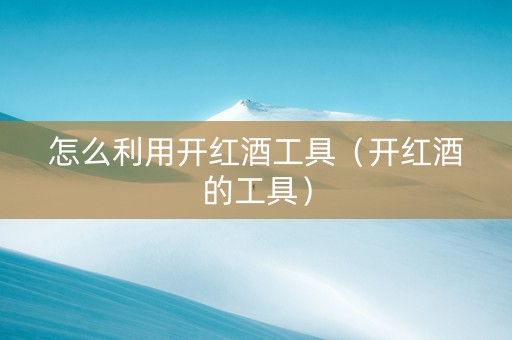 怎么利用开红酒工具（开红酒的工具）