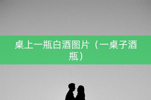桌上一瓶白酒图片（一桌子酒瓶）