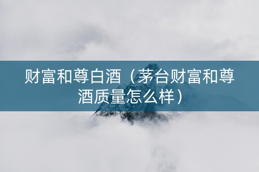 财富和尊白酒（茅台财富和尊酒质量怎么样）