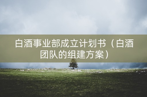 白酒事业部成立计划书（白酒团队的组建方案）
