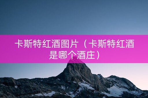 卡斯特红酒图片（卡斯特红酒是哪个酒庄）