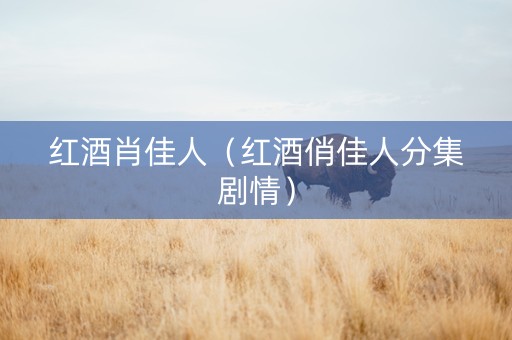 红酒肖佳人（红酒俏佳人分集剧情）