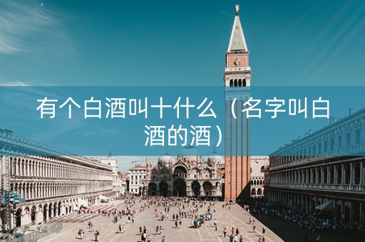 有个白酒叫十什么（名字叫白酒的酒）