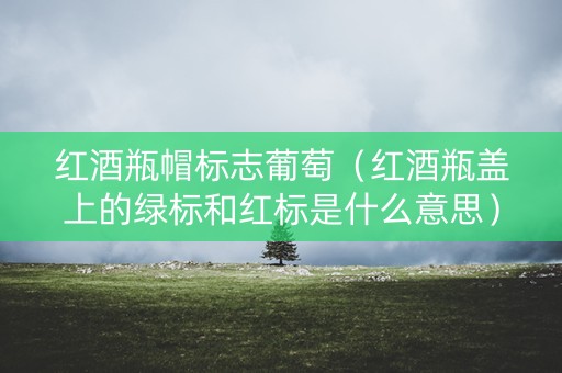 红酒瓶帽标志葡萄（红酒瓶盖上的绿标和红标是什么意思）