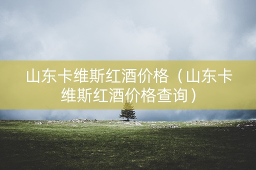 山东卡维斯红酒价格（山东卡维斯红酒价格查询）