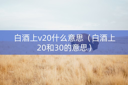 白酒上v20什么意思（白酒上20和30的意思）