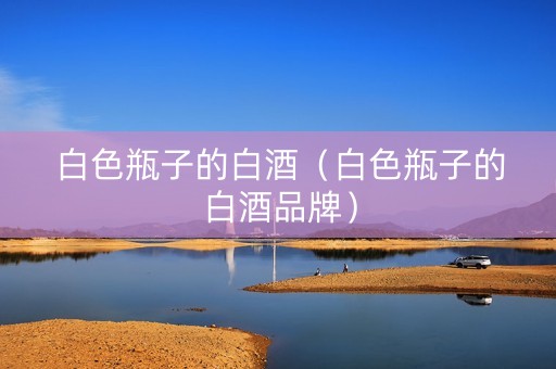白色瓶子的白酒（白色瓶子的白酒品牌）