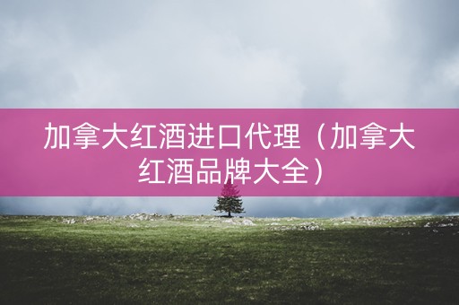加拿大红酒进口代理（加拿大红酒品牌大全）
