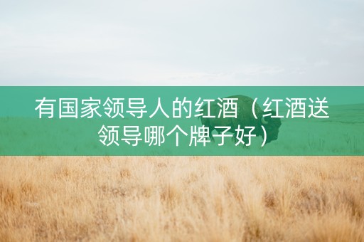 有国家领导人的红酒（红酒送领导哪个牌子好）