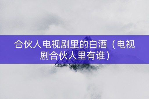 合伙人电视剧里的白酒（电视剧合伙人里有谁）